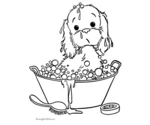 Baño para perro